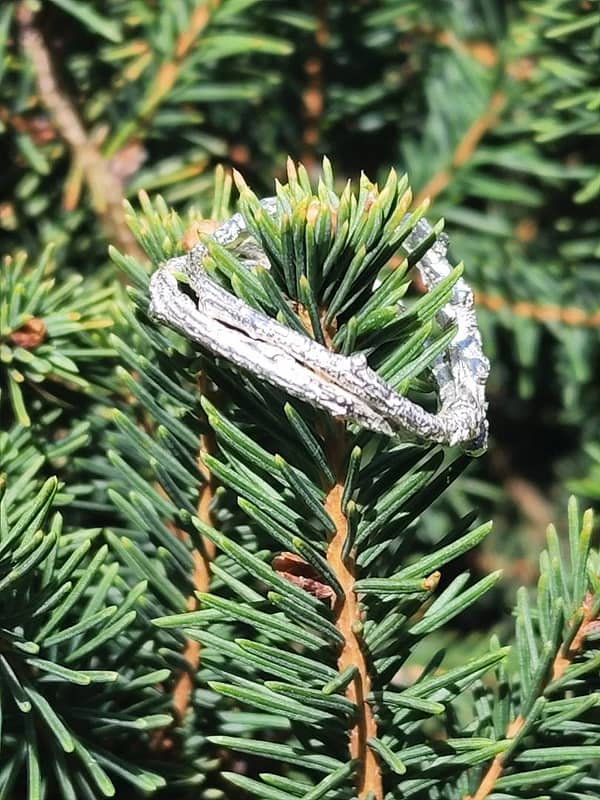 Sterling Silver Casted Twig Ring